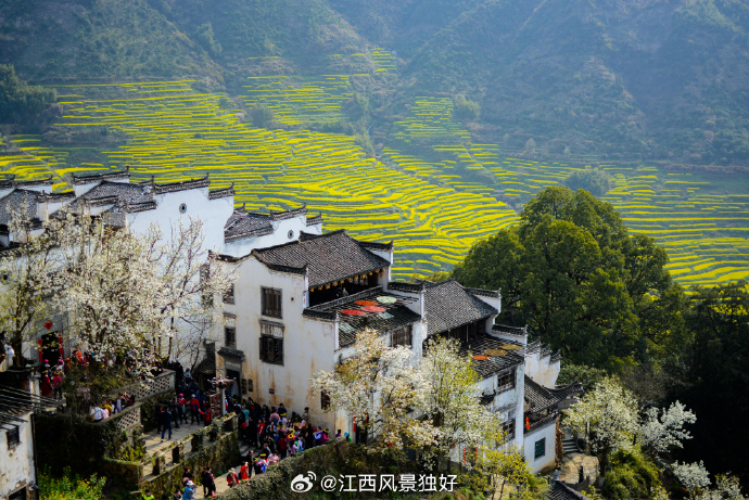 江西之旅，自然画卷中的心灵栖息地